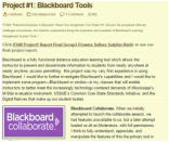 Picture of and link to my Blackboard Collaborate communication tools analysis for IT648